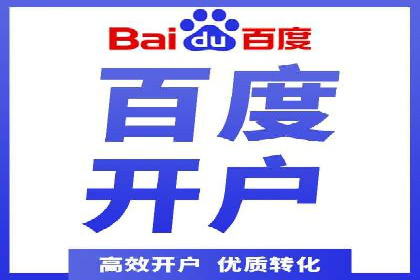 实战派经验分享：百度竞价代理成功案例揭秘